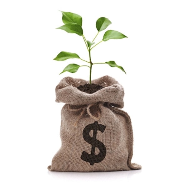Haga crecer su inversión